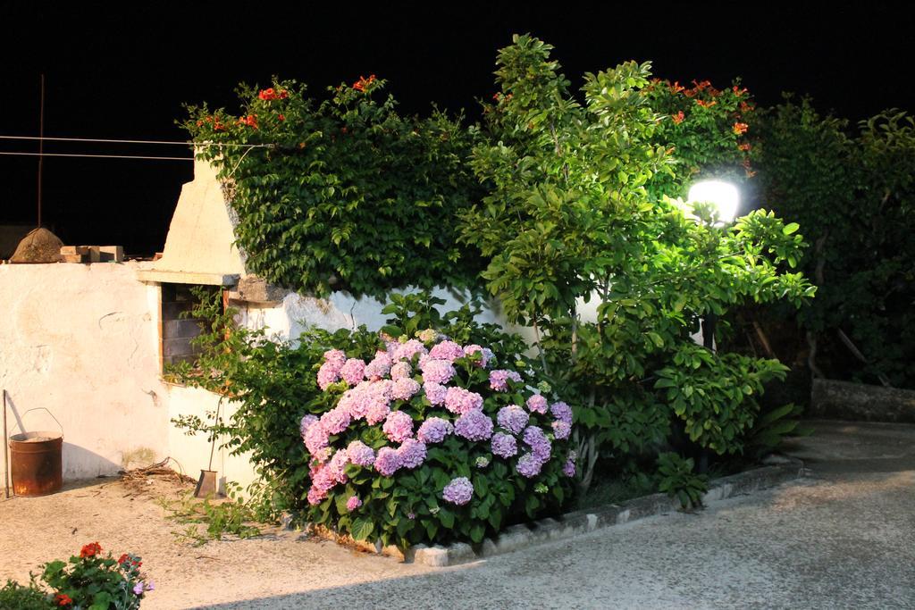 La Casa Del Nonno Bed & Breakfast Alberobello Exterior foto