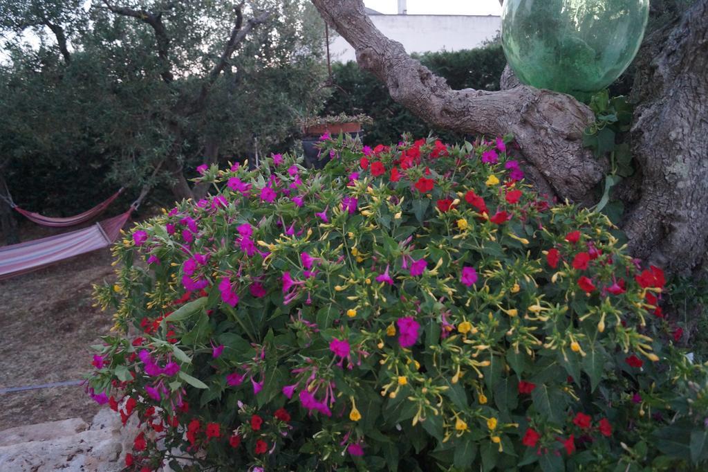 La Casa Del Nonno Bed & Breakfast Alberobello Exterior foto
